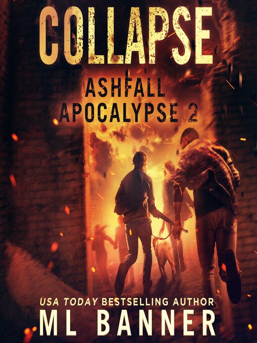 Cover image for Collapse